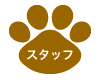スタッフ