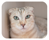 ごきげんになるとプルルッと鳴きます